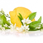 15 χρήσεις του λεμονιού… που δεν γνωρίζατε!